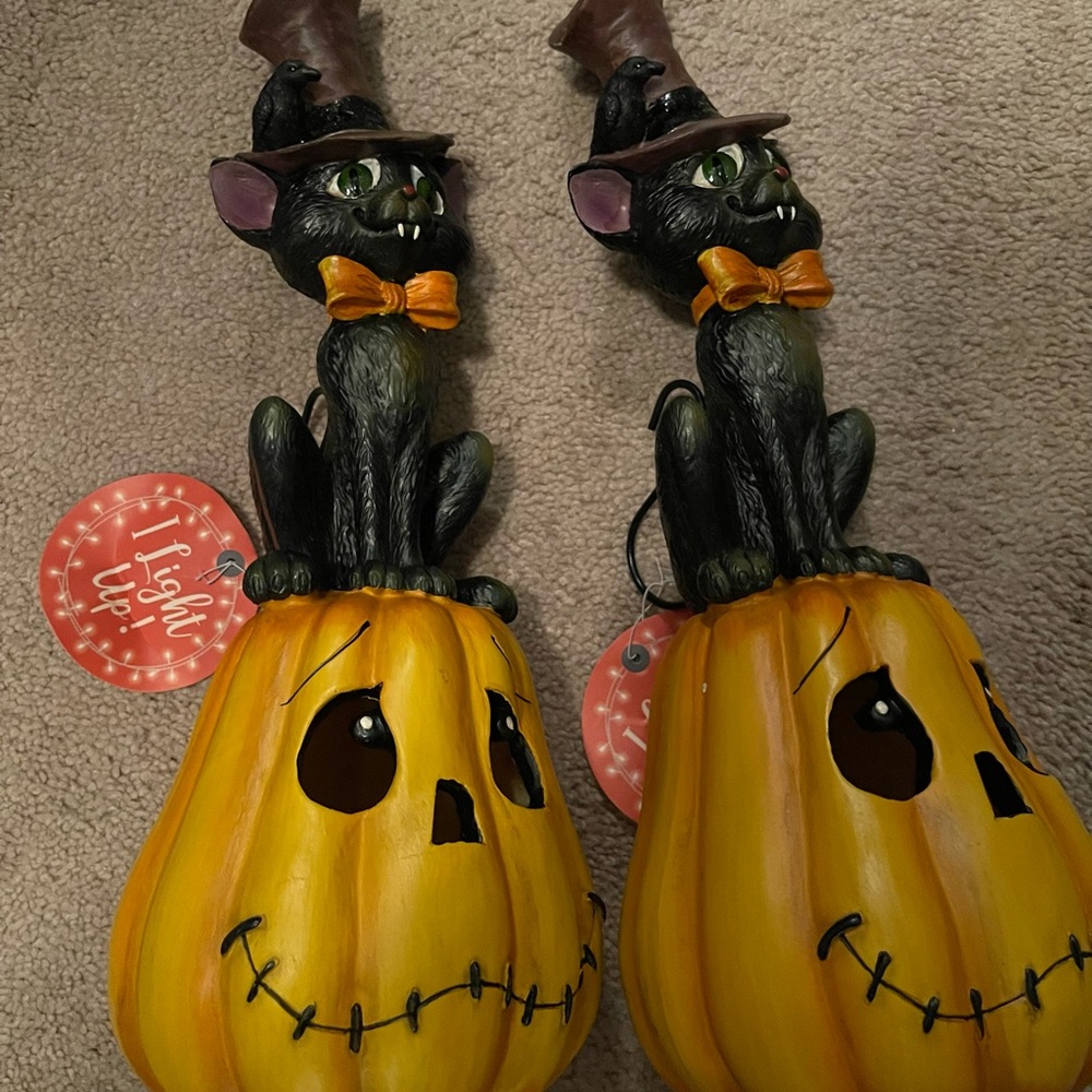 Two super cute light up pumpkins with cats in hats